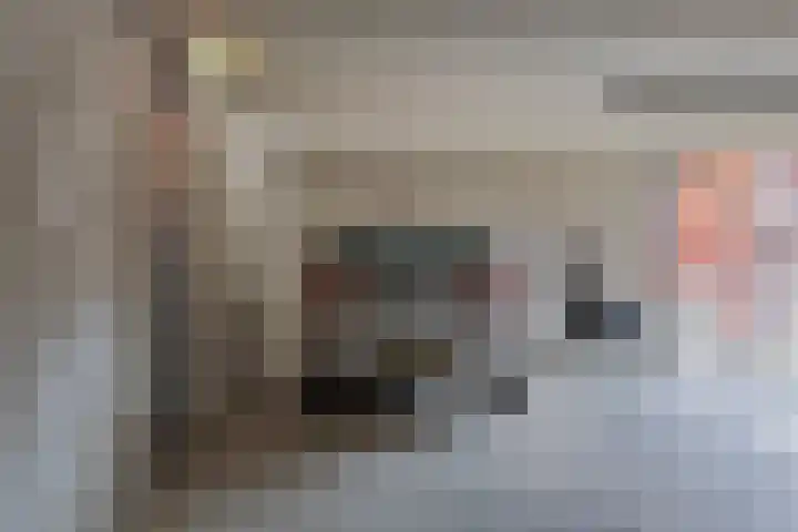 Schietspoel 237 Oss thumbnail 34