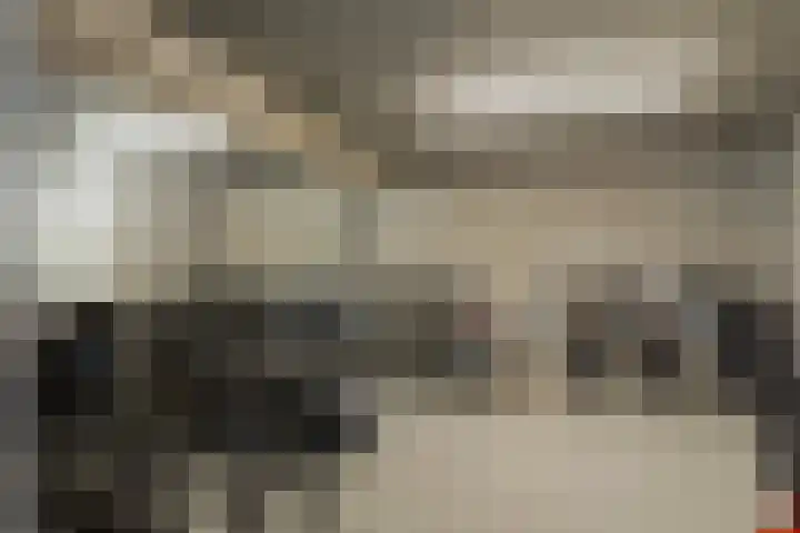 Schietspoel 237 Oss thumbnail 35