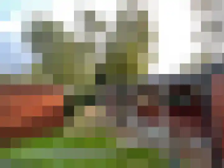Schietspoel 237 Oss thumbnail 40