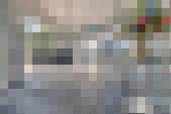 Schietspoel 259 Oss thumbnail 10