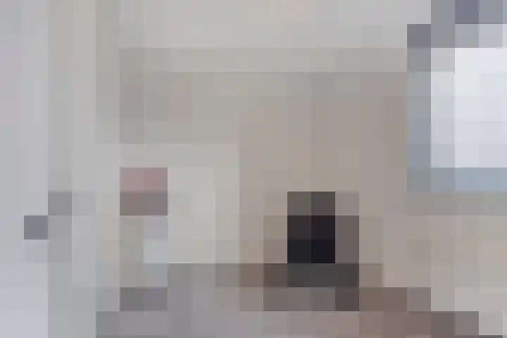 Schietspoel 259 Oss thumbnail 30