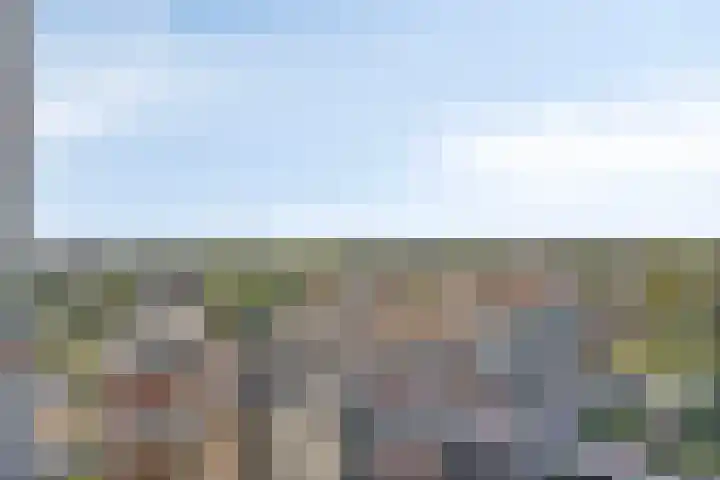 Schietspoel 259 Oss thumbnail 33