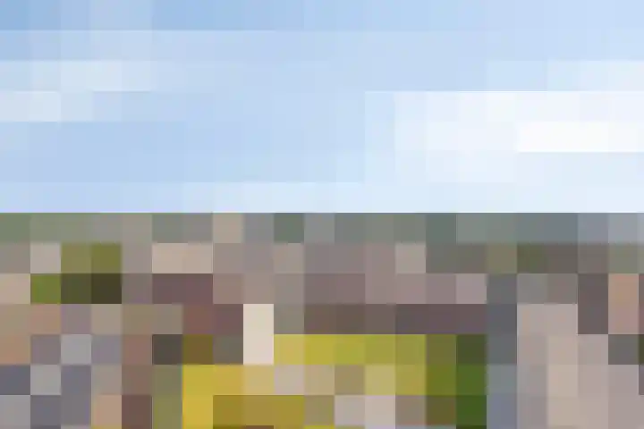 Schietspoel 259 Oss thumbnail 36
