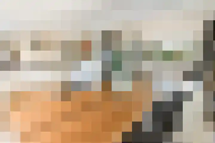 Schietspoel 26 Laren thumbnail 16