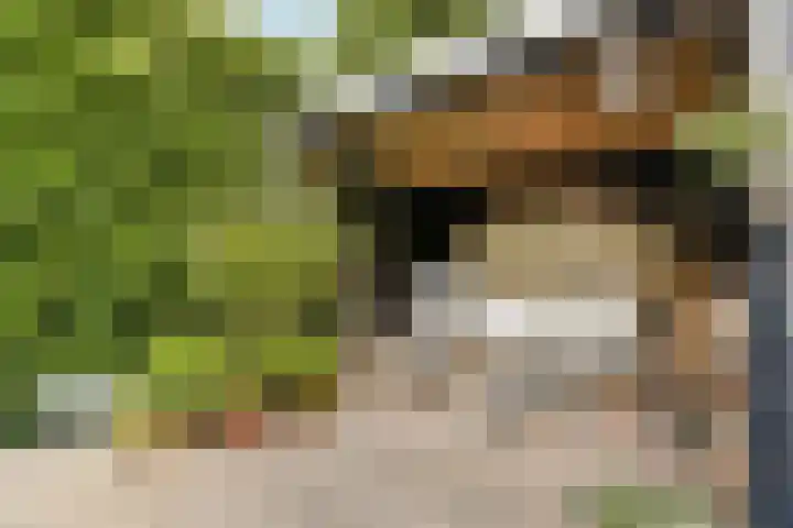 Schietspoel 26 Laren thumbnail 20