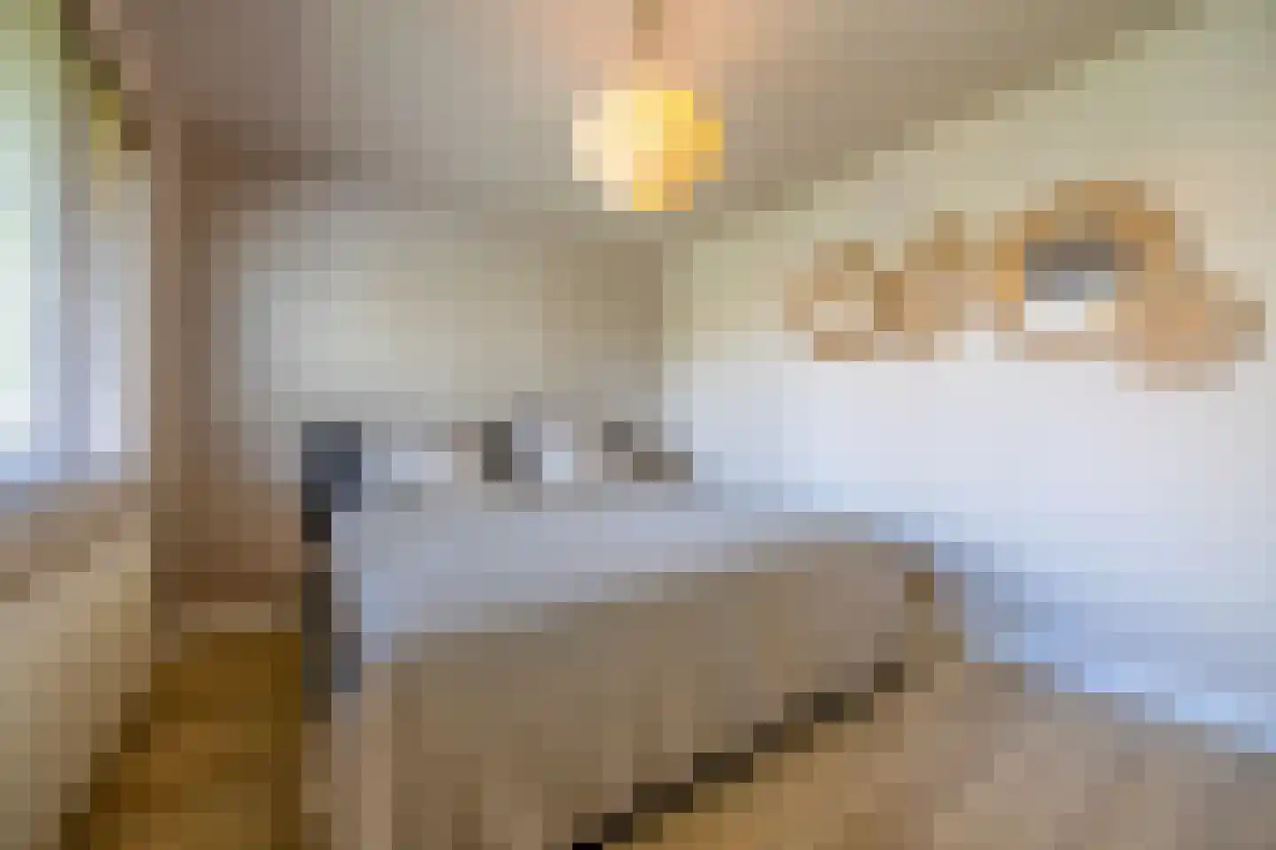 Schietspoel 26 Laren thumbnail 21