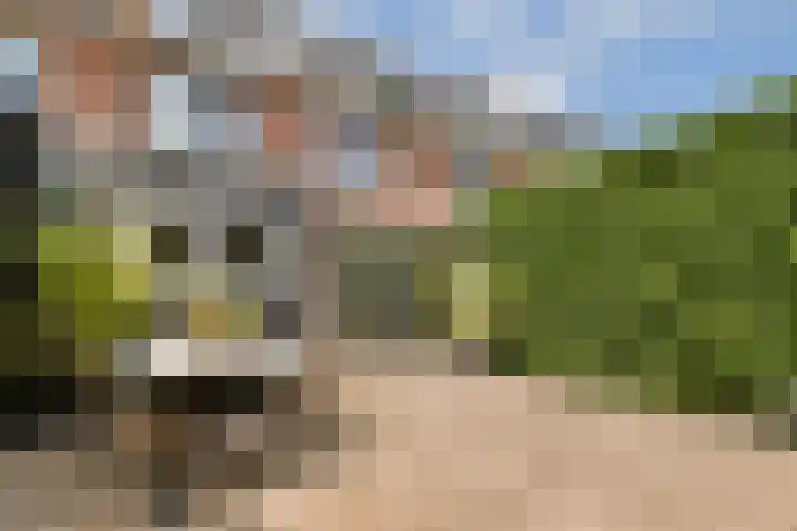 Schietspoel 26 Laren thumbnail 21