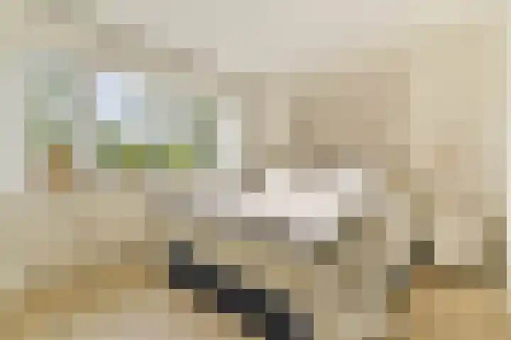 Schietspoel 26 Laren thumbnail 25