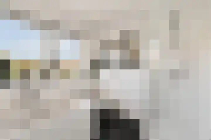 Schietspoel 26 Laren thumbnail 27