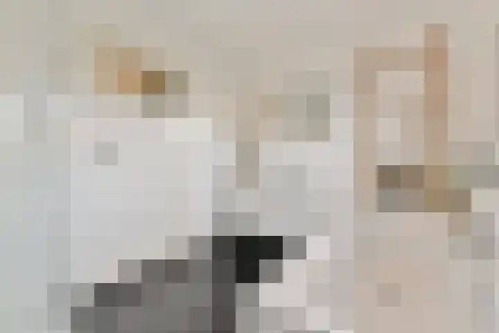Schietspoel 26 Laren thumbnail 28
