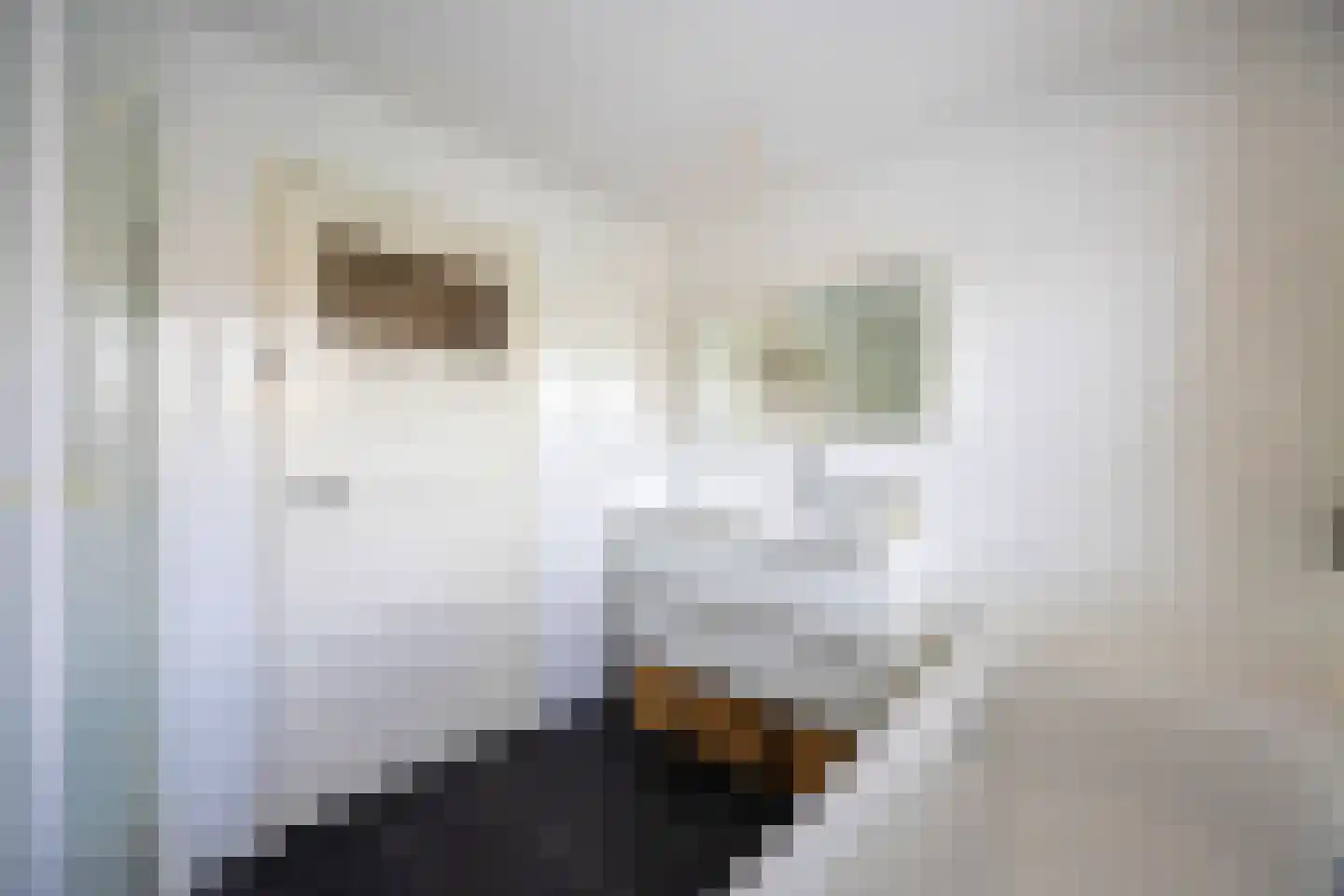 Schietspoel 26 Laren thumbnail 28