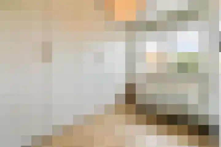Schietspoel 26 Laren thumbnail 29