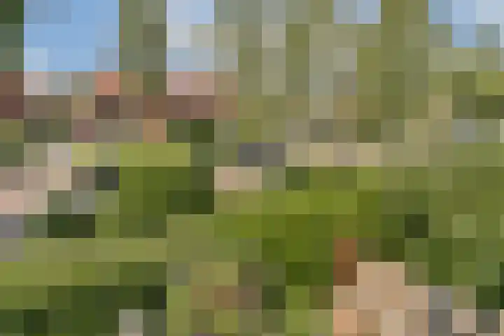Schietspoel 26 Laren thumbnail 35