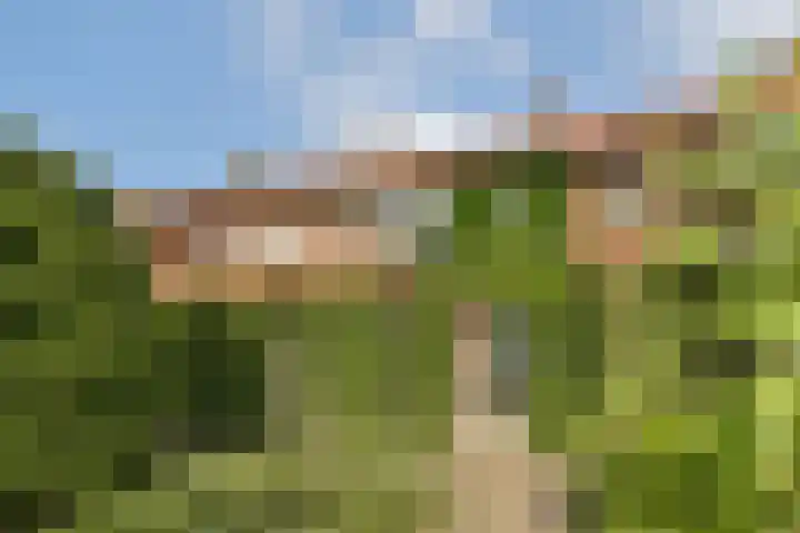 Schietspoel 26 Laren thumbnail 36