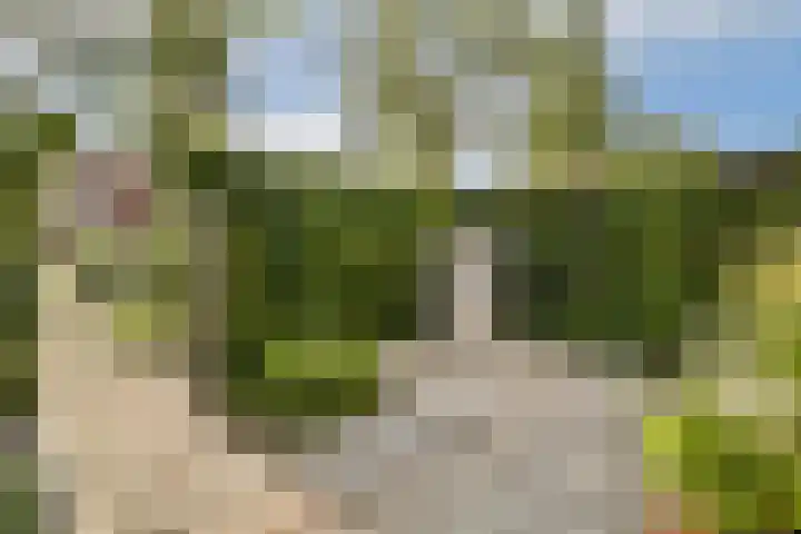 Schietspoel 26 Laren thumbnail 37