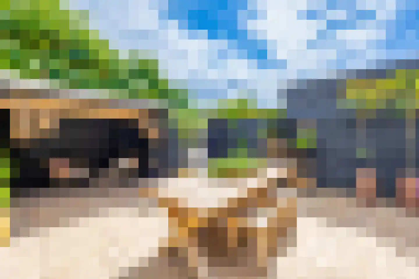 Schietspoel 26 Laren thumbnail 38