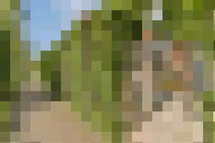 Schietspoel 26 Laren thumbnail 38