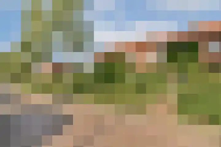 Schietspoel 26 Laren thumbnail 39