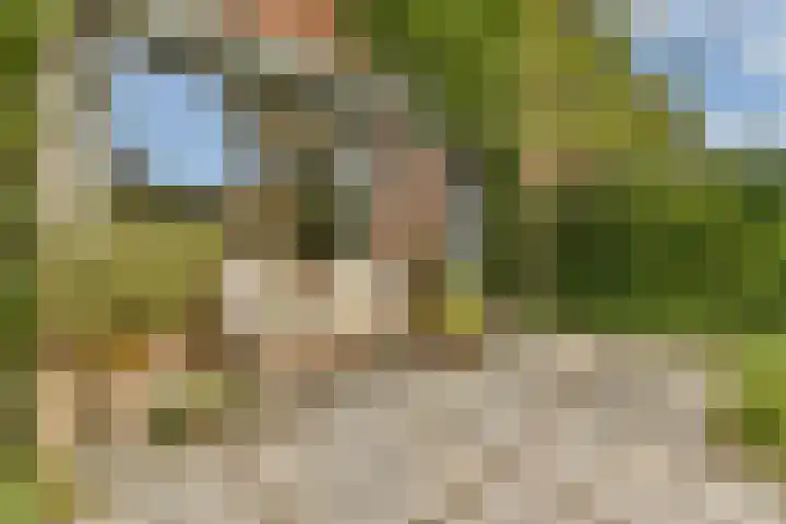 Schietspoel 26 Laren thumbnail 4