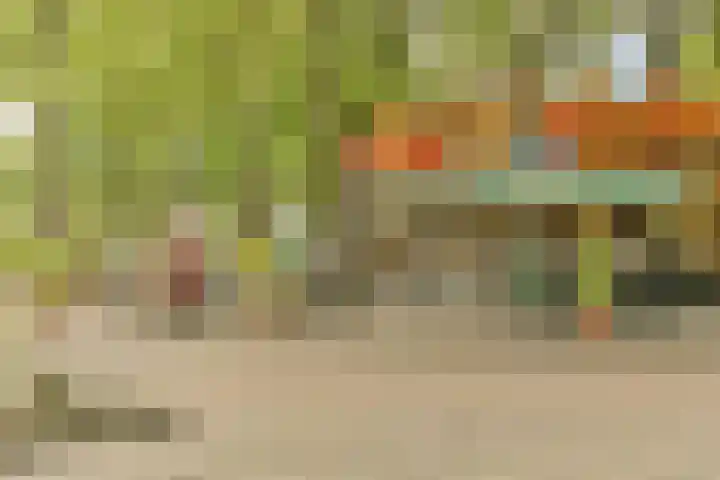 Schietspoel 26 Laren thumbnail 41