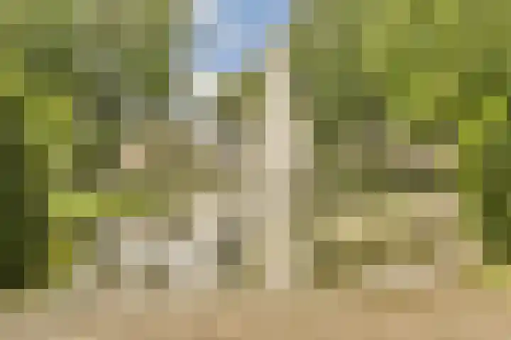 Schietspoel 26 Laren thumbnail 42