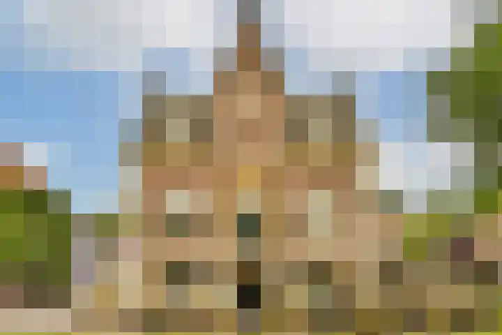 Schietspoel 26 Laren thumbnail 43