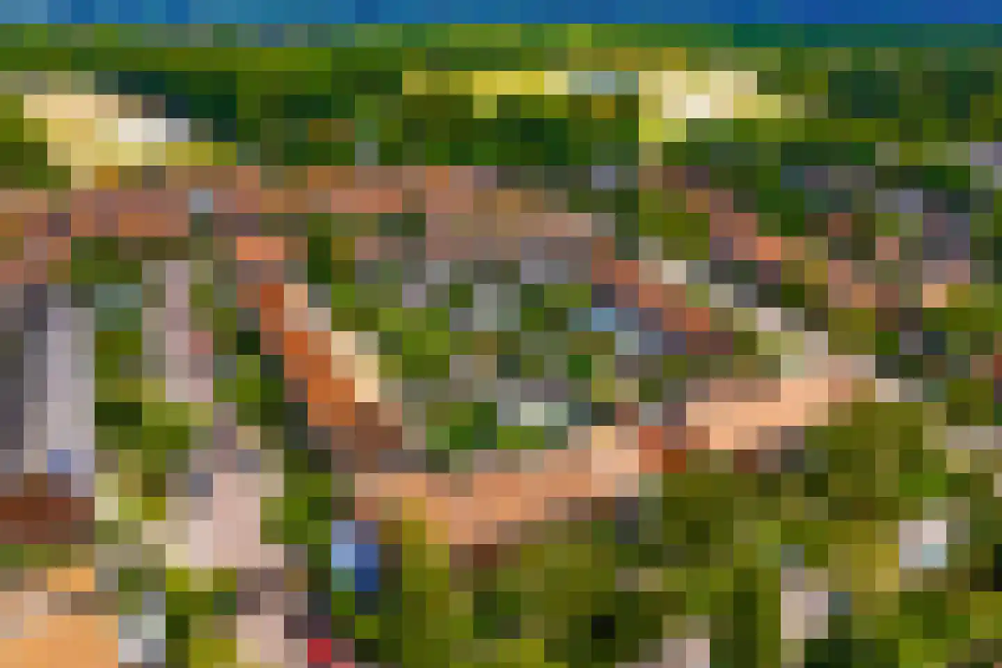 Schietspoel 26 Laren thumbnail 43