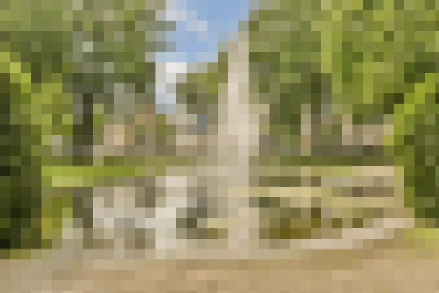 Schietspoel 26 Laren thumbnail 46
