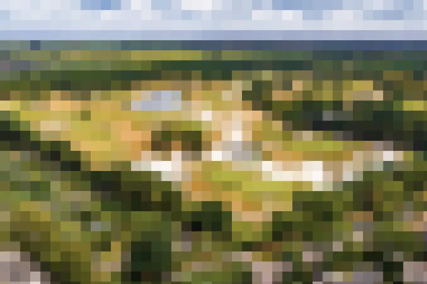 Schietspoel 26 Laren thumbnail 49