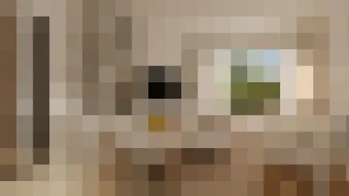 Schietspoel 26 Laren thumbnail 6