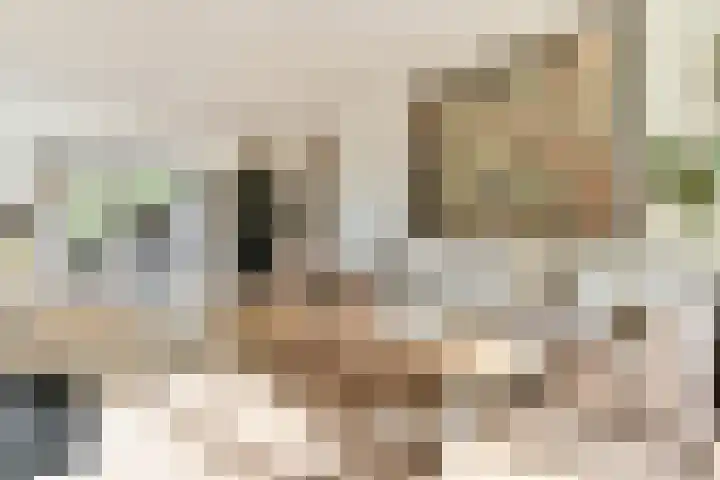 Schietspoel 26 Laren thumbnail 8