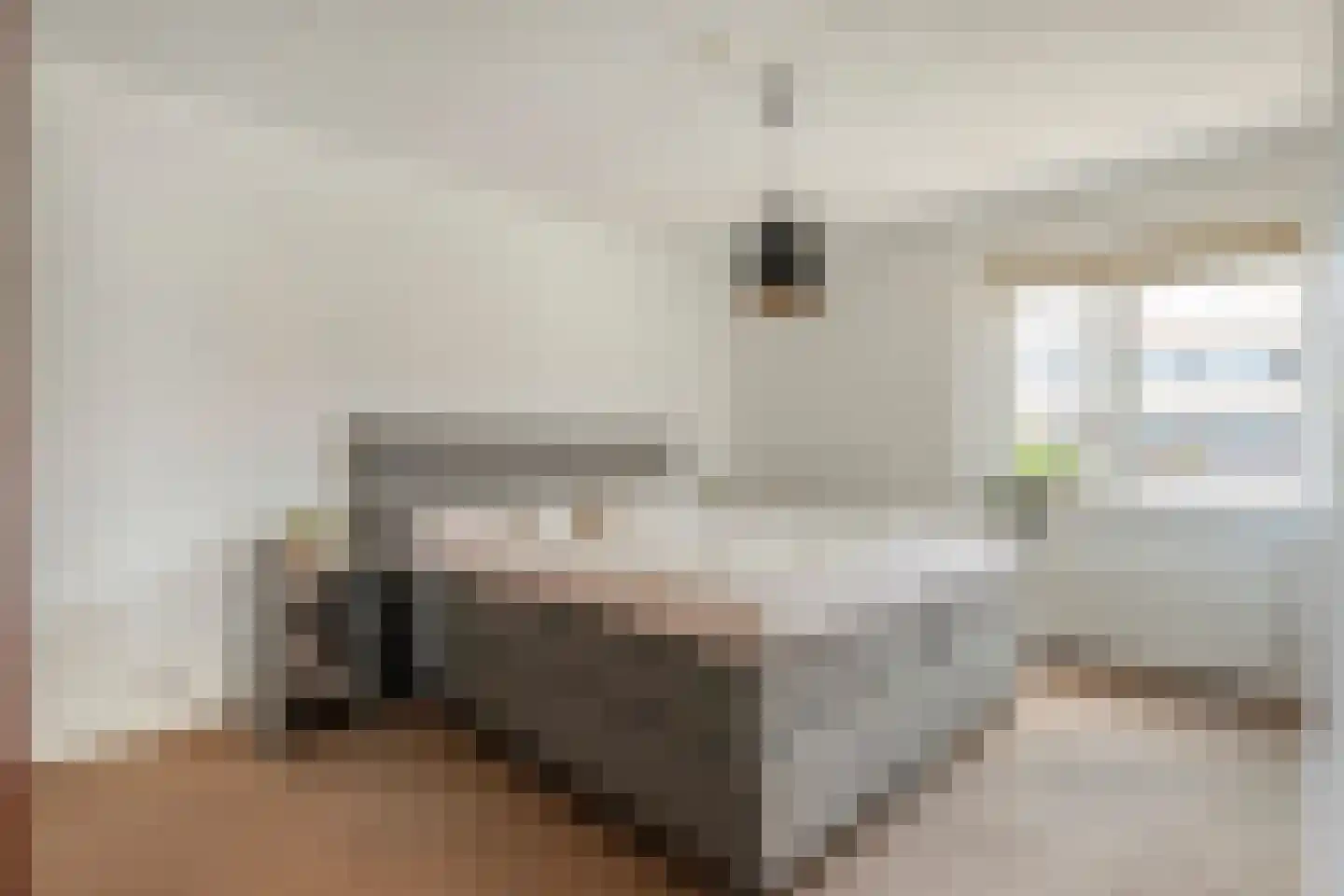 Schietspoel 27 Almelo thumbnail 15