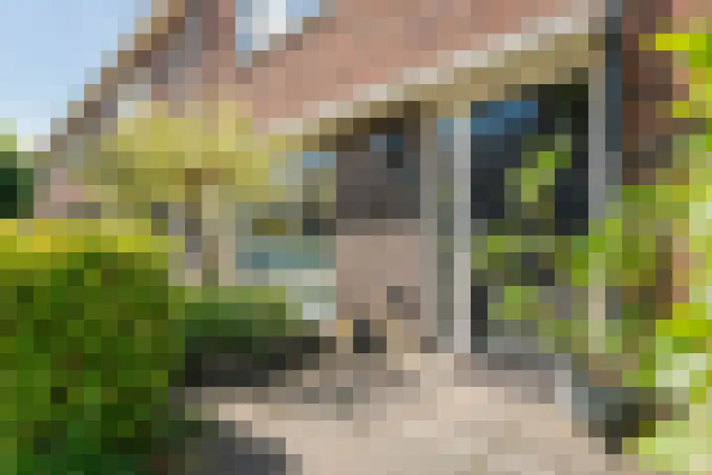 Schietspoel 27 Almelo thumbnail 6
