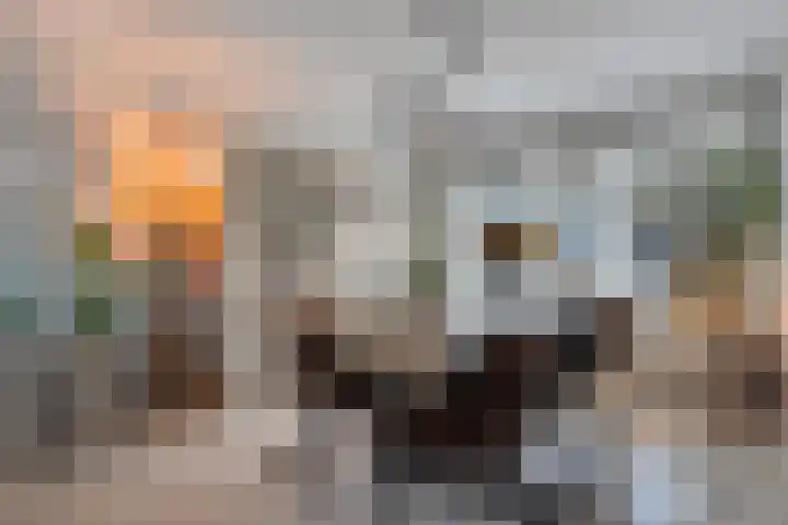 Schietspoel 36 Wierden thumbnail 10