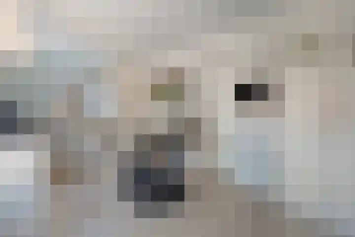 Schietspoel 36 Wierden thumbnail 12
