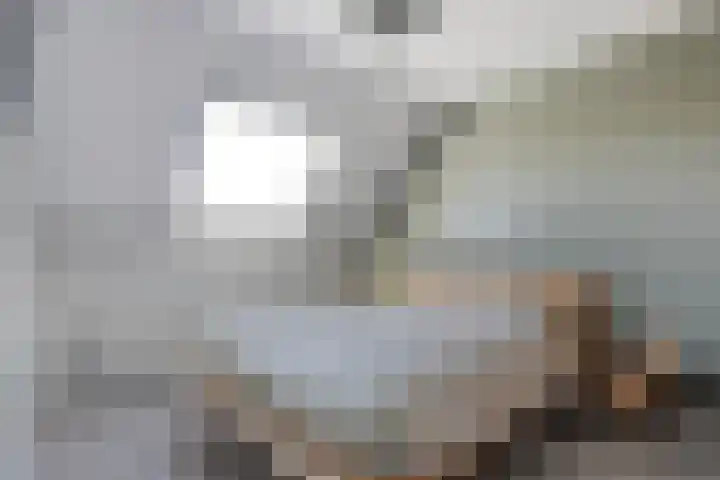 Schietspoel 36 Wierden thumbnail 18