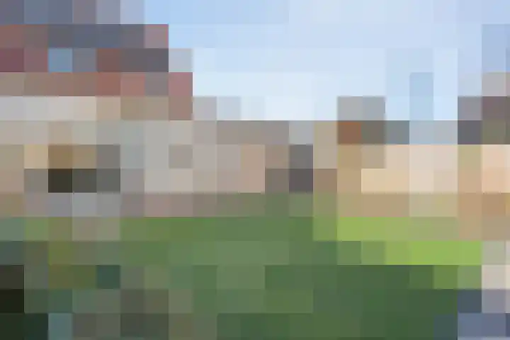 Schietspoel 36 Wierden thumbnail 29