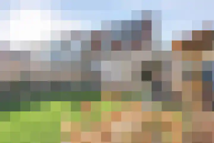Schietspoel 36 Wierden thumbnail 31
