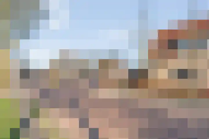 Schietspoel 36 Wierden thumbnail 37