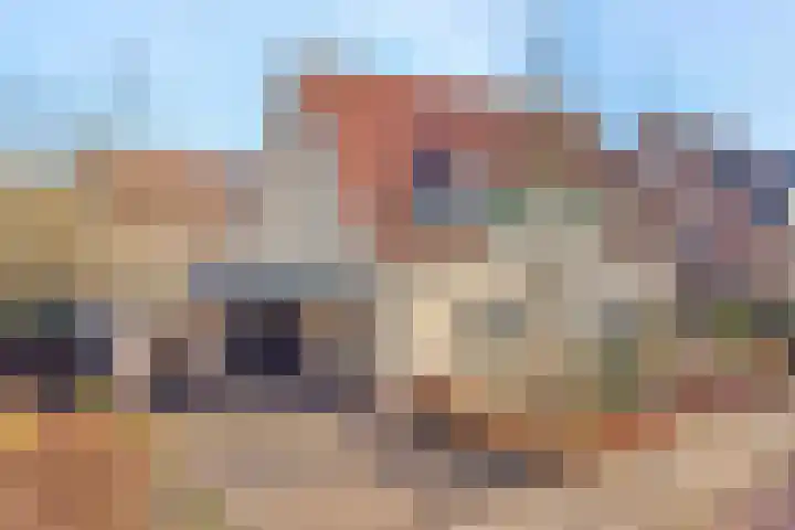 Schietspoel 36 Wierden thumbnail 40
