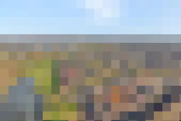 Schietspoel 36 Wierden thumbnail 41
