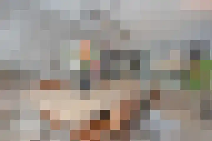 Schietspoel 36 Wierden thumbnail 5