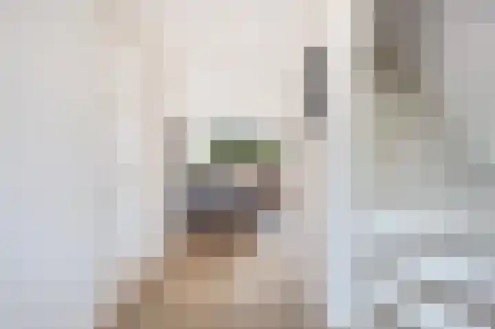 Schietwilg 14 Sint-Oedenrode thumbnail 14