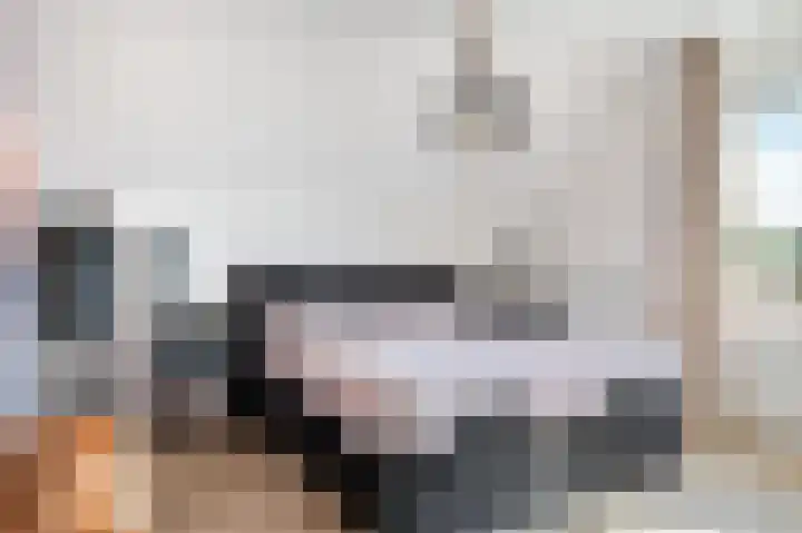 Schietwilg 14 Sint-Oedenrode thumbnail 15