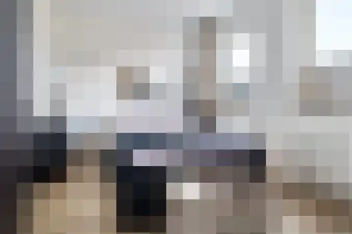 Schietwilg 14 Sint-Oedenrode thumbnail 19