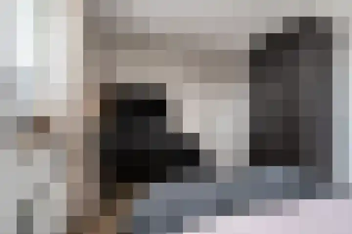 Schietwilg 14 Sint-Oedenrode thumbnail 20