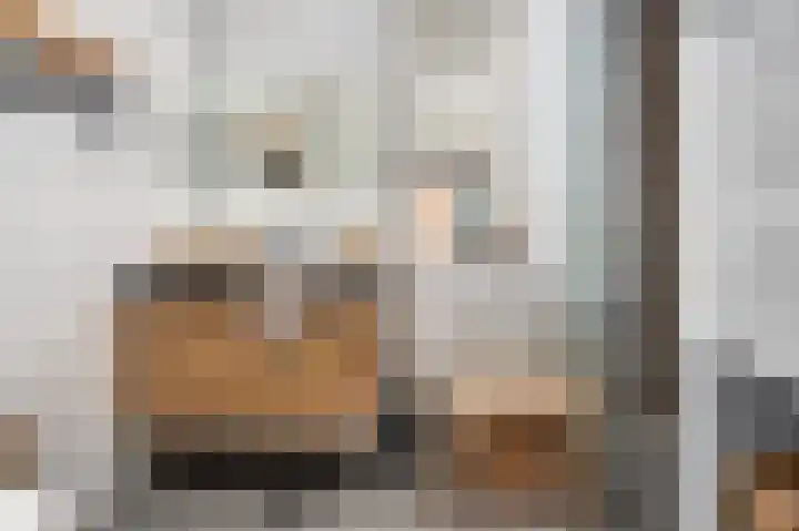 Schietwilg 14 Sint-Oedenrode thumbnail 21