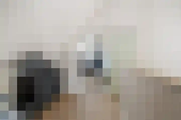Schietwilg 14 Sint-Oedenrode thumbnail 24