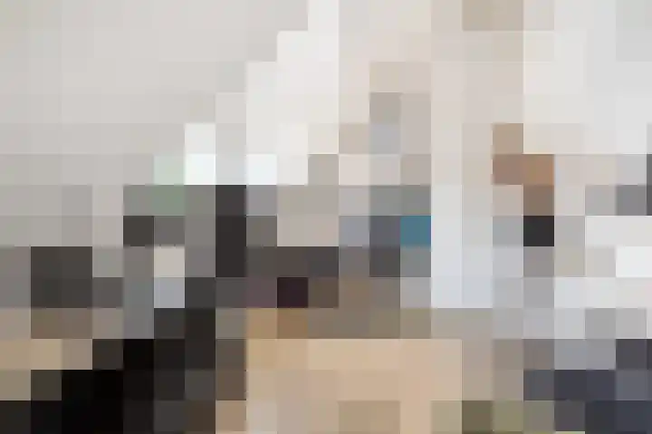 Schietwilg 14 Sint-Oedenrode thumbnail 25