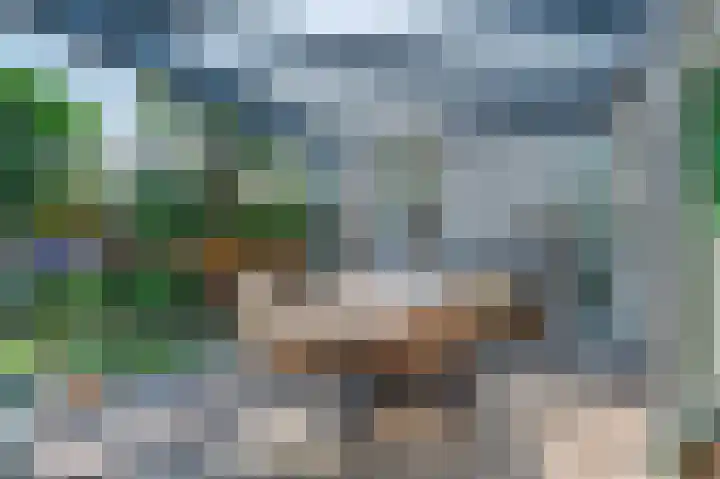Schietwilg 14 Sint-Oedenrode thumbnail 29